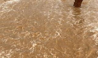 الليث في مكة المكرمة تسجل أعلى كميات لهطول الأمطار اليوم