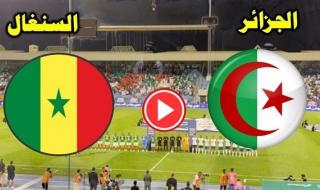 بث مباشر الجزائر والسنغال نهائي كأس أمم إفريقيا للمحليين || مشاهدة مباراة السنغال ضد الجزائر جودة عالية HD لايف live