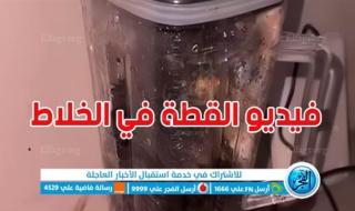 فيديو القطة في الخلاط "يتألم ولا يتكلم".. تفاصيل دقيقة عن حقيقة مقطع Cat in the Blender الذي أغضب العالم !