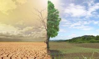 7 معلومات حول تحديات المناخ أبرزها احتياج أفريقيا لـ 2.7 تريليون دولار حتى 2030