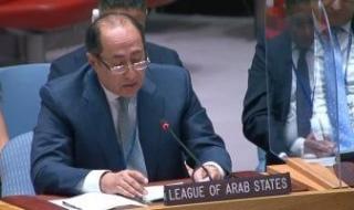 الجامعة العربية تدعو لإيجاد آلية تسوية على أساس حل الدولتين لمنع تجدد العنف