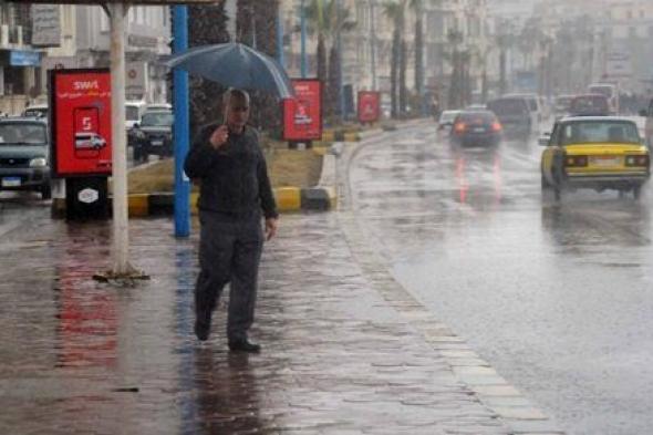 أمطار وشبورة على الطرق.. حالة الطقس المتوقعة خلال الـ 72 ساعة القادمة