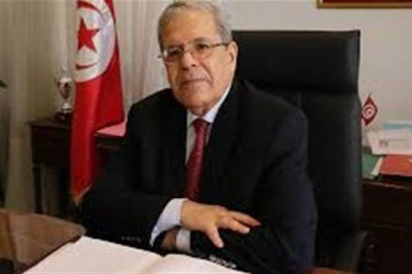 هاني رسلان : تضامن تونس مع مصر في ملف سد النهضة يعزز موقفها دوليا