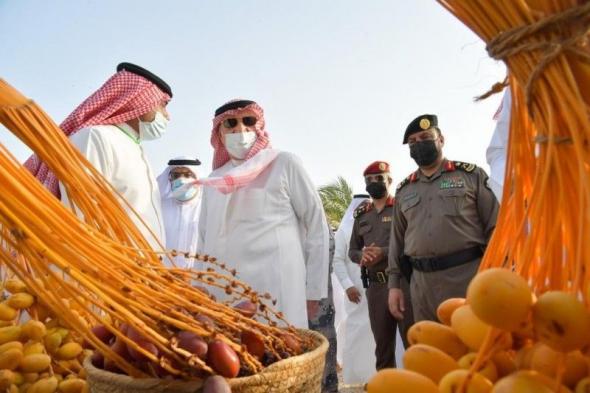 أمير جازان يشارك أهالي فرسان الاحتفاء بموسم «العاصف» السياحي وجني التمور