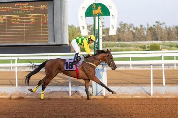 «سباقات الخيل» يقيم حفله الـ13 ضمن موسم المصيف بالطائف