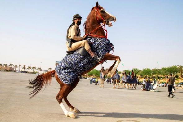 هيئة تطوير بوابة الدرعية تحتفي باليوم الوطني: خيّال العُوجا وأنا أبو تركي