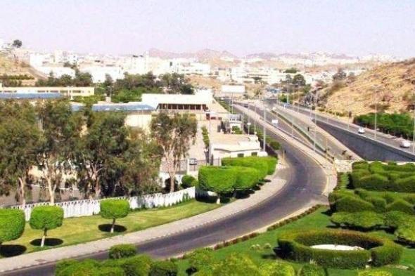 الطائف: هل ينجح وزير الصحة في استعادة المشاريع المسحوبة؟