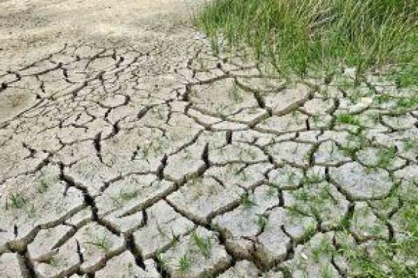 أزمة شح الموارد المائية تضرب تونس.. والسلطات ترفع حالة الطوارئ بسبب الجفاف