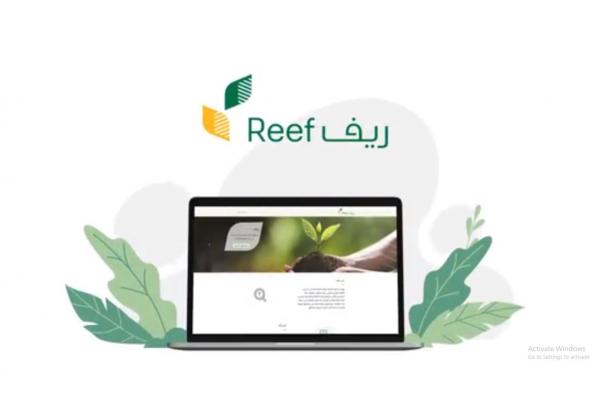 برنامج ريف: إعلان نتائج الأهلية في هذا الموعد